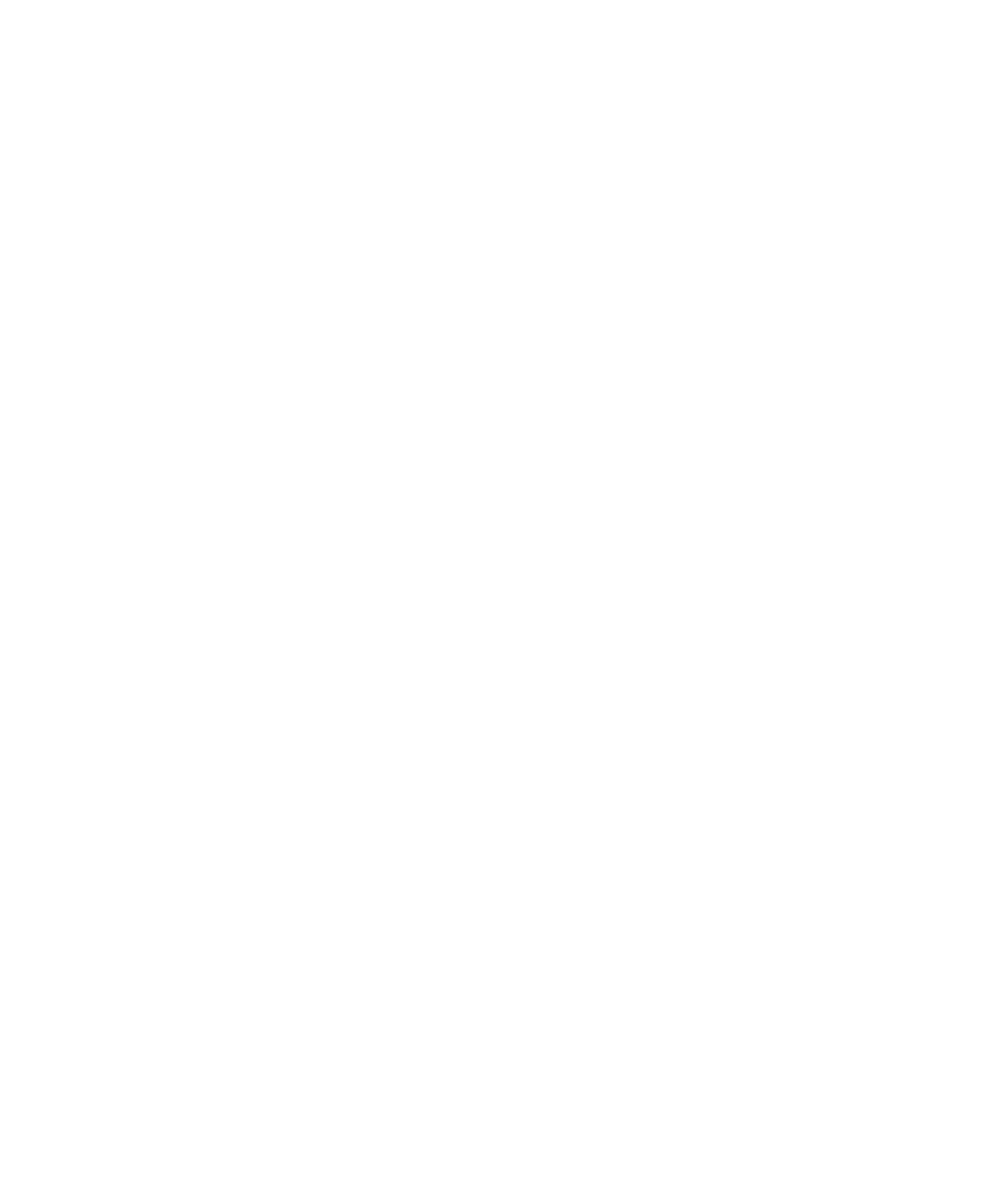 Tripadvisor Travellers Choice