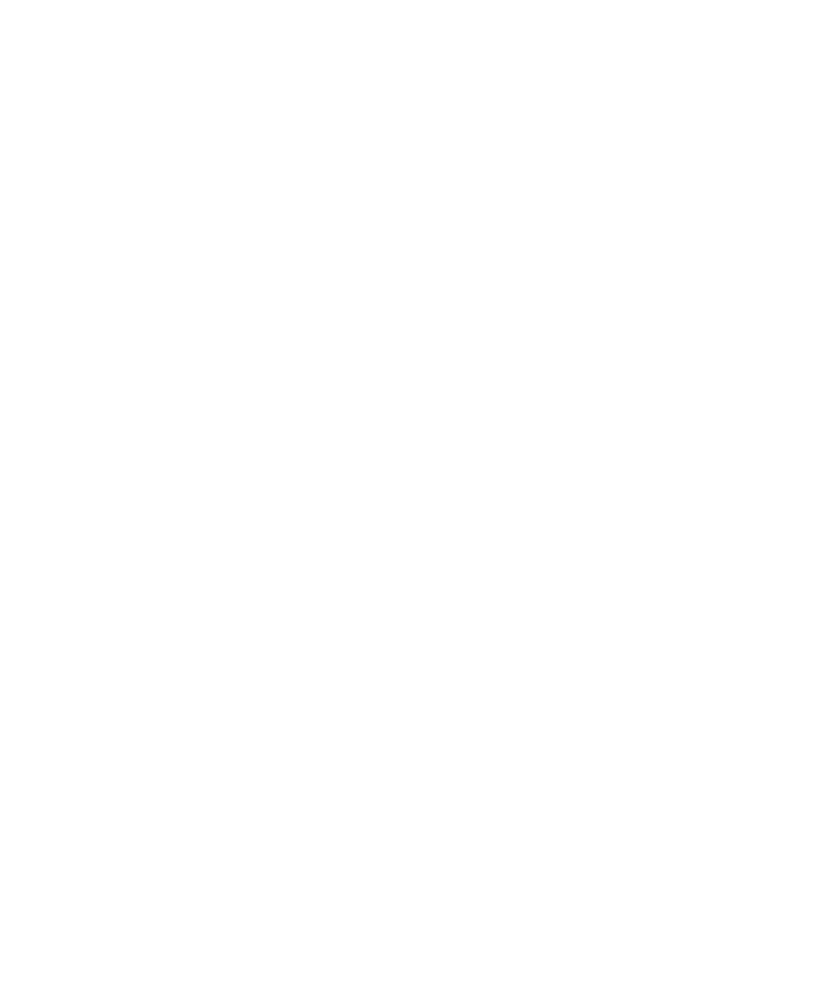 Tripadvisor Travellers Choice